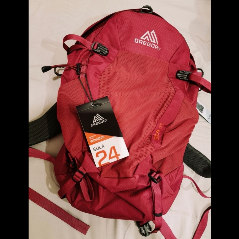 Brand New Gregory Backpack 24L